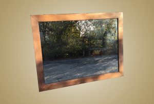 2018-11-06 Mirror oak large view of hedge